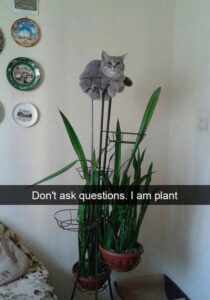 How the #V<K did I get UP HERE?!?