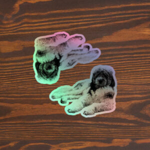 "The General" - Kiss-cut Holographic stickers